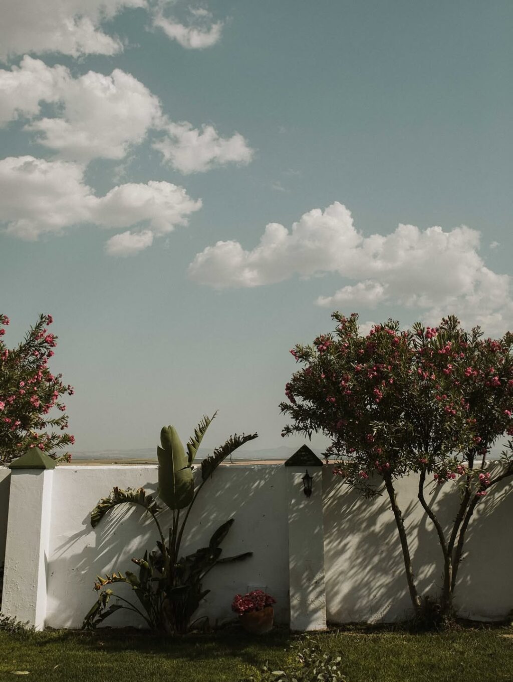 Instagram post from ysy.styleup. This post is in position 6.